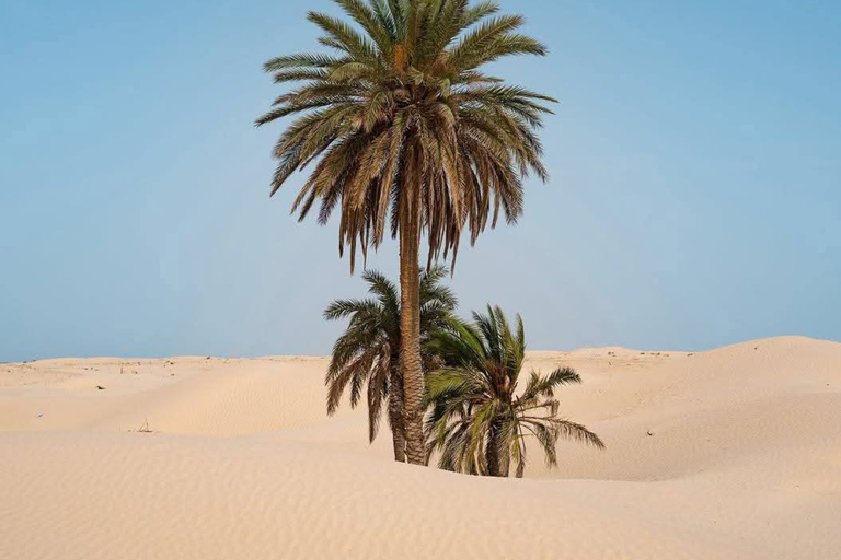 From Djerba: Desert Camp & Amazigh Villages Tour with Dinner