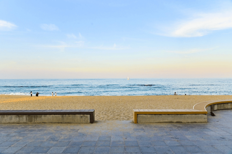 Seoul: Gangneung from K-Pop Band Bus Stop to Anmok Beach Option 1, meet at Dongdaemun