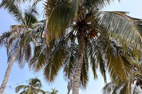 Cartagena: Full day to the island with lunch, pool and snack