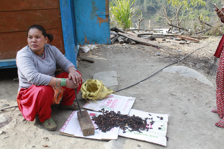 Découvrez la magie de Poon Hill : Un trek de 4 jours au départ de Pokhara