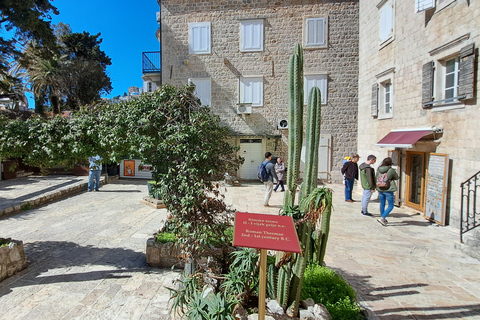 Visite privée du Monténégro, de Perast, de Kotor et de Budva