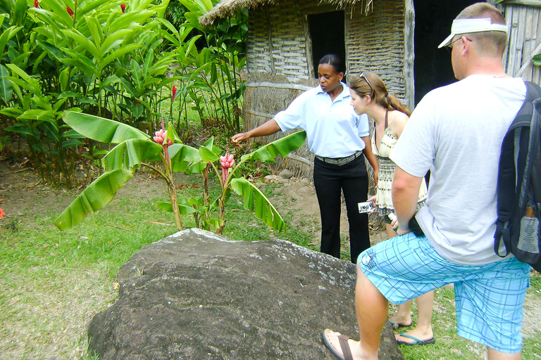 Von Castries aus: Ganztagestour mit dem Katamaran nach SoufriereAb Castries: St. Lucia - Tagestour mit einem Katamaran