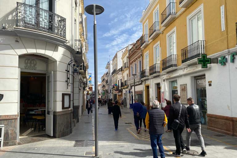 from Estepona, Marbella, Mijas: RONDA private tour incl. transportation and tapas