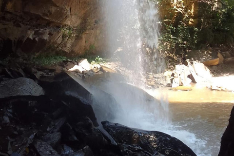 Visite d'une jounée des collines de Shimba avec le sentier naturel de Shifoga