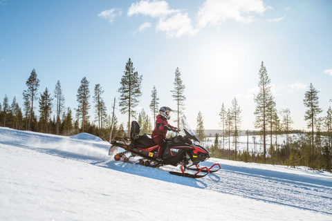 Rovaniemi: Snowmobile Safari & Reindeer Encounter