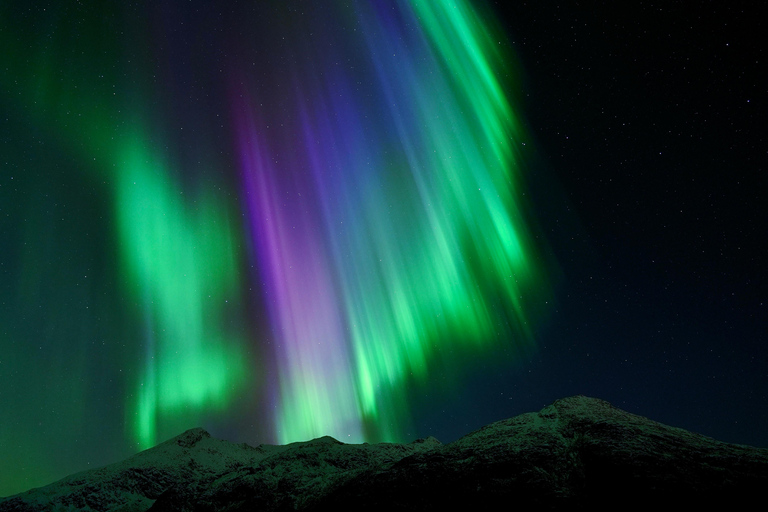 Tromsø: Northern Lights Tour with Free Professional Photos