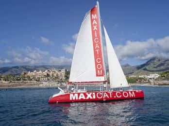 Costa Adeje: Whale and Dolphin Cruise with Food and Pickup