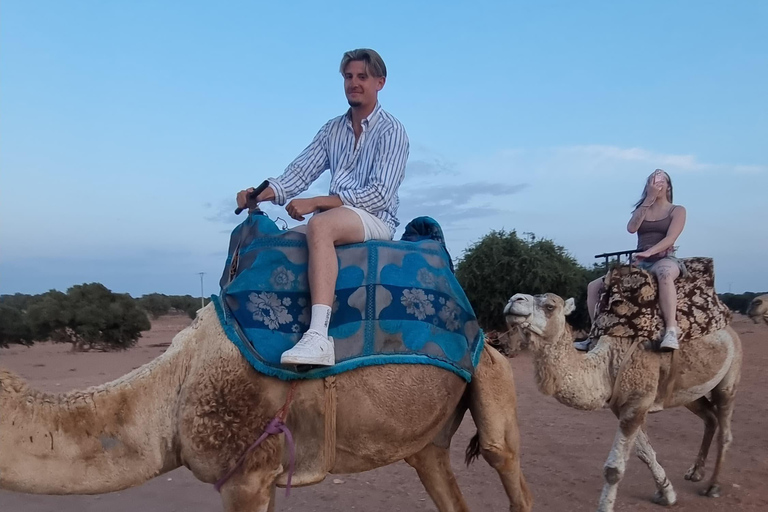 Agadir: Sunset Quad Bike Safari with Camel Ride & Tea