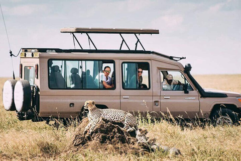 Safari économique de 2 jours dans le Tarangire et le Ngorongoro au départ de Zanzibar