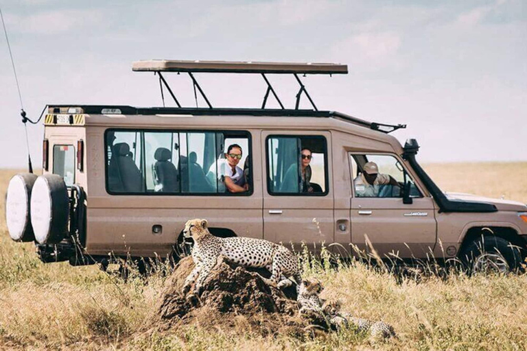 Safari económico de 2 días a Tarangire y Ngorongoro desde Zanzíbar