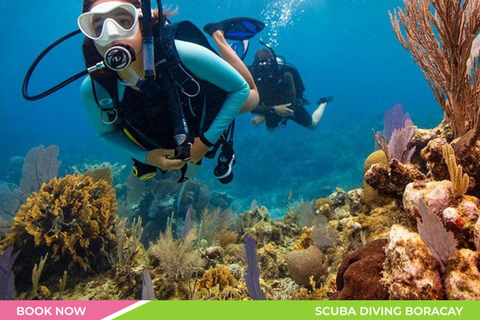 Beneath the Waves of Boracay: A Scuba Adventure