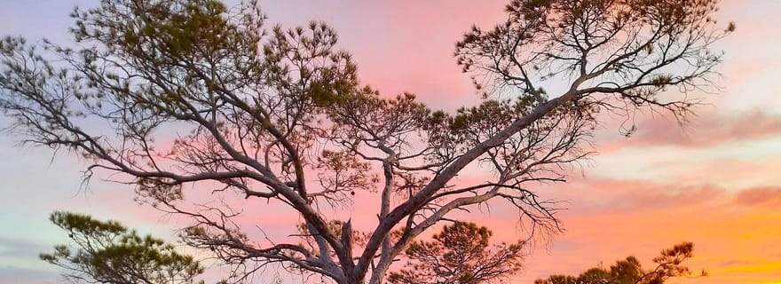 Portofino : randonnée panoramique privée et dégustation de glaces