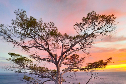 Portofino: Guided Mountain Hike with Ice Cream
