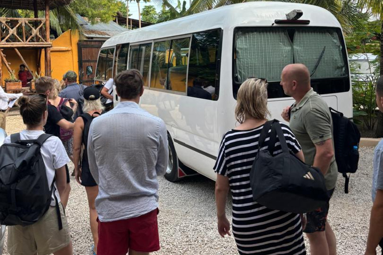 Bus Transfer service from airport to anywhere in Zanzibar