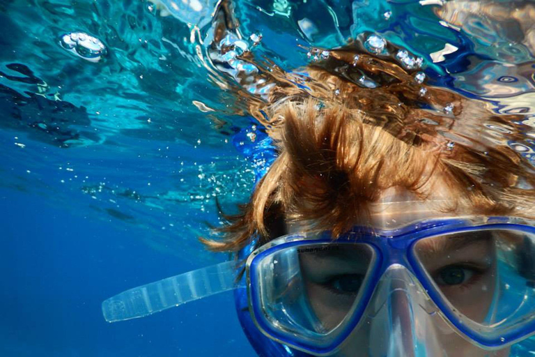 Snorkel en Miami para principiantes desde Bayside Market PlaceSnorkel
