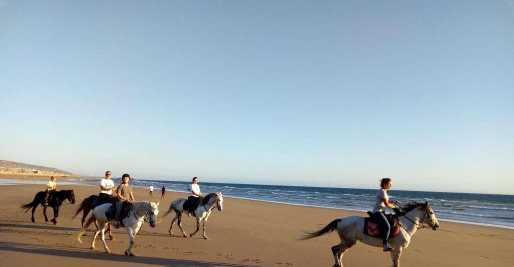 Agadir/ Taghazout, 2 heures de promenade à cheval sur la plage - Hizvo