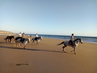Agadir/ Taghazout, 2 ore a cavallo sulla spiaggia - Hizvo