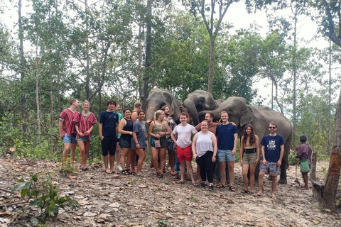 Chiang Mai : Parc national de Doi Inthanon et sanctuaire des éléphants