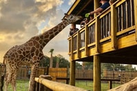 Orlando, Wild Florida Airboats & Gator Park Experience - Hizvo