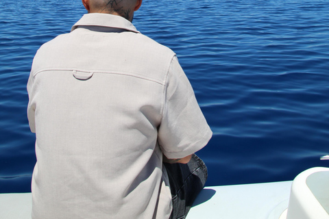 Cala d'Or: Dolphin sightseeing tour with dolphin watching Cala d'Or: Sightseeing tour with dolphin watching