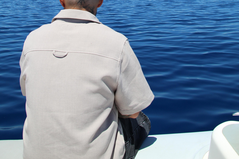 Cala d'Or: Dolphin sightseeing tour with dolphin watching Cala d'Or: Sightseeing tour with dolphin watching