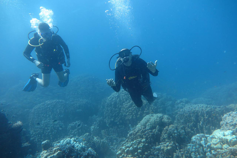 Hurghada: Dive Experience for Beginners or Certified Divers Full-Day Scuba Diving for Certified Divers