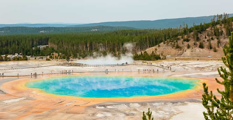 Grand Teton & Yellowstone: 4-Day Nature Tour with Lodging | GetYourGuide