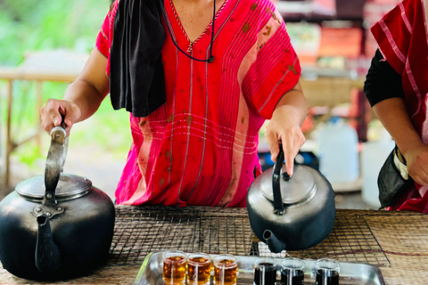 Chiang Mai: Tempel, natuur en cultuur in één dag.Olifantenopvang en Doi Suthep Tour.