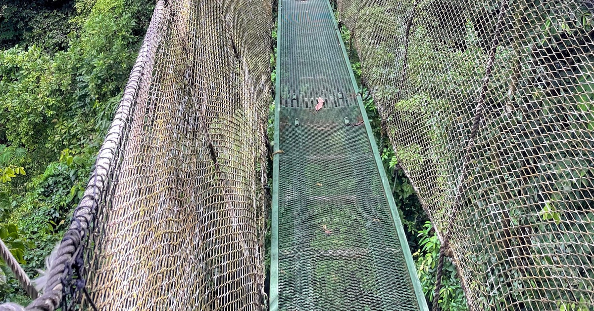 Manuel Antonio Hanging Bridges and Waterfall Tour GetYourGuide