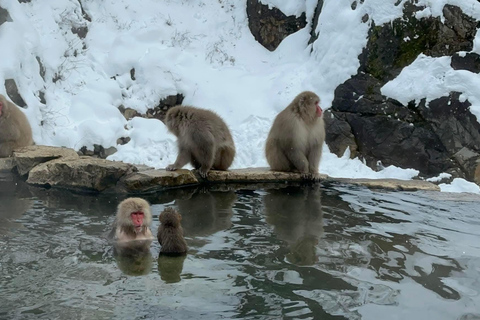 Tokyo: Private Nagano Tour with English speaking driver