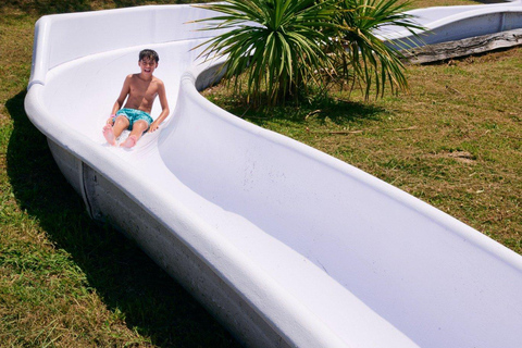 Palafolls: Marineland Dolphinarium and Water Park Tickets