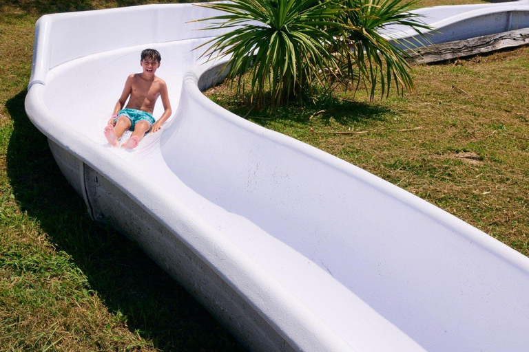 Palafolls: Marineland Dolphinarium and Water Park Tickets