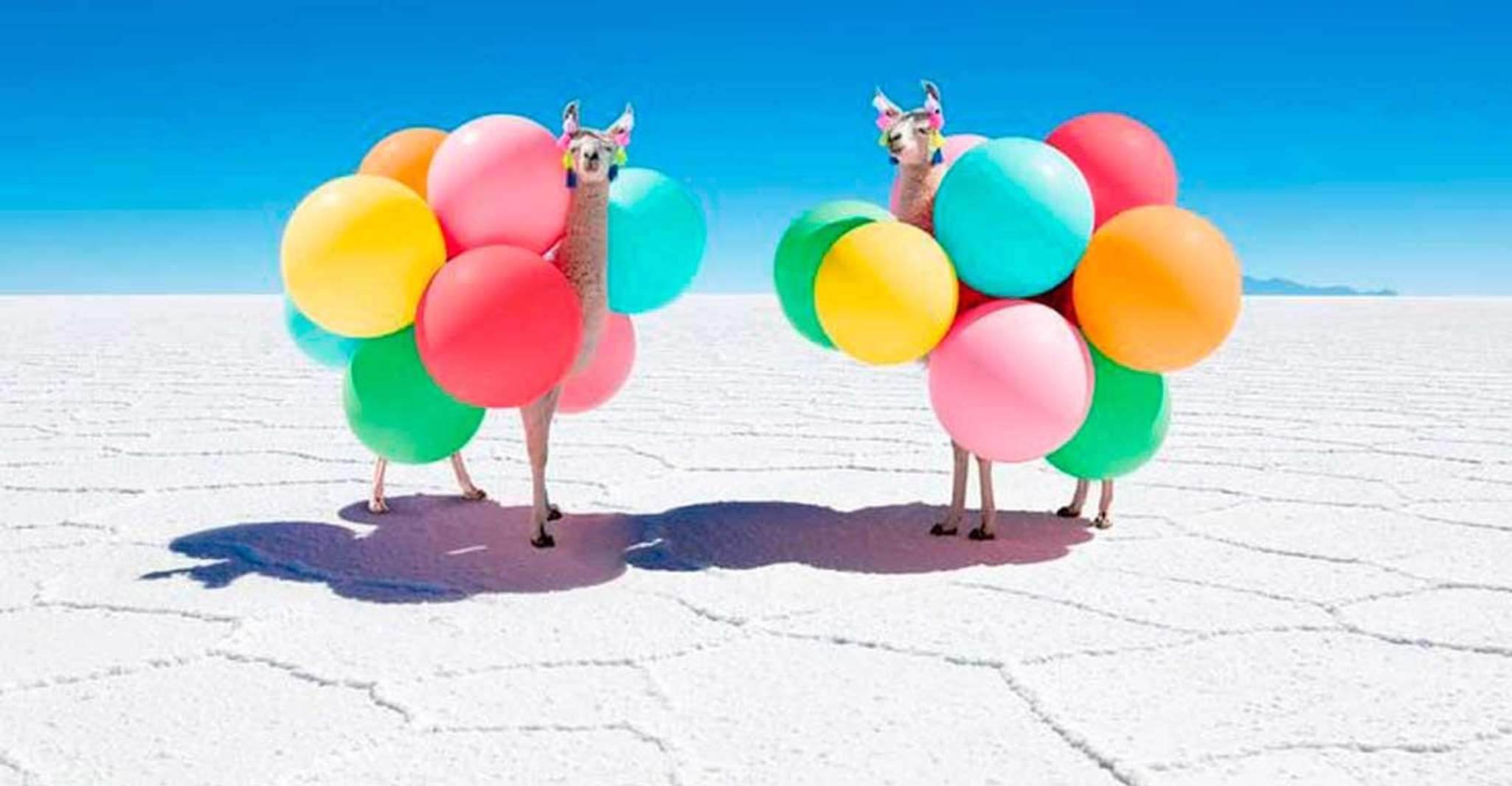 来自Uyuni, Uyuni 盐平板巡航+摄影集+日落 - Hizvo