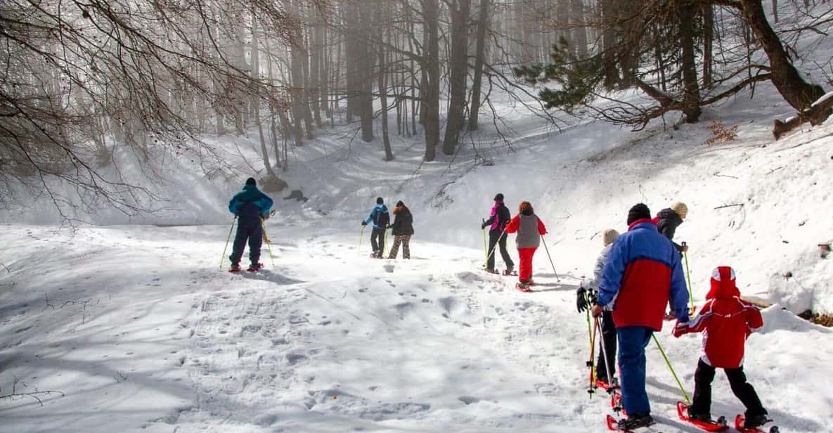 Afbeelding 0 van Nationaal park Sila: sneeuwschoenwandeling met gids voor gezinnen.