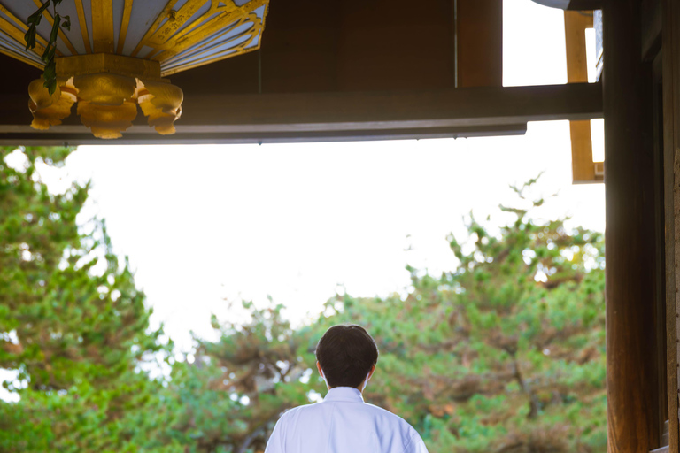 Best of Kyoto: the Bamboo Forest & Golden Temple E-Bike Tour