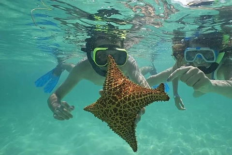 Isla Saona: Sightseeing tour from La Romana and Bayahibe with lunch and catamaran