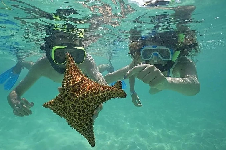Isla Saona: Sightseeing tour from La Romana and Bayahibe with lunch and catamaran