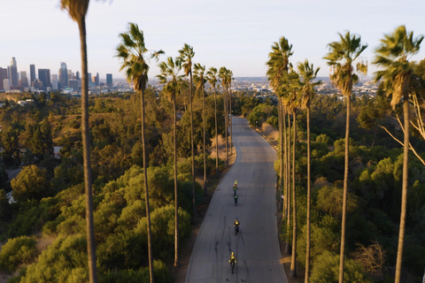 Los Angeles: E-Bike Tour of LA River, Elysian Park, Frogtown Private E-Bike Tour of LA River, Elysian Park, Frogtown