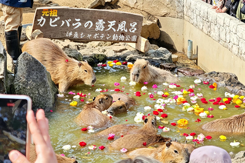 Small Group Day Tour:Omuro Mountain & the Izu Scenic Railway Hotel Transfer Option