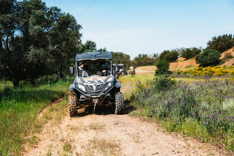 Albufeira: Aventura de Buggy Off-RoadBuggy duplo