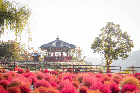 From Seoul: Autumn Instagrammable TourShared Tour, Meet at Myeongdong