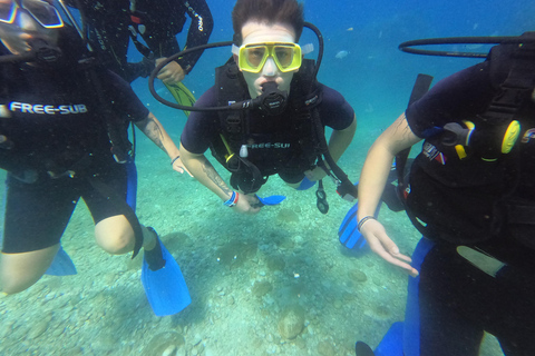 Alanya: Full-Day Scuba Diving Tour with Lunch /2 Dives
