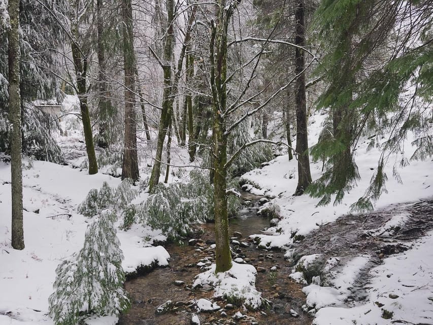 Barroso Global wichtige Agrarsysteme GetYourGuide