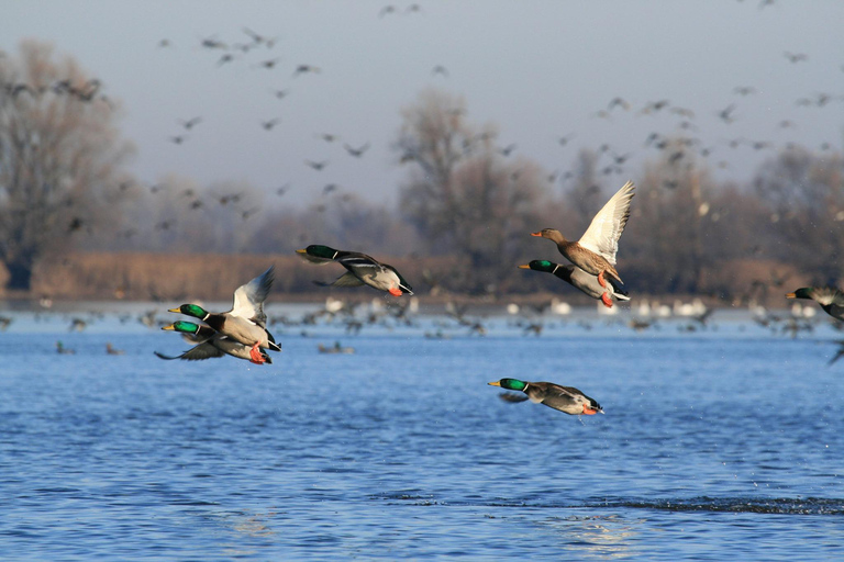 探索克罗地亚东部：葡萄酒、自然和遗产私人观光