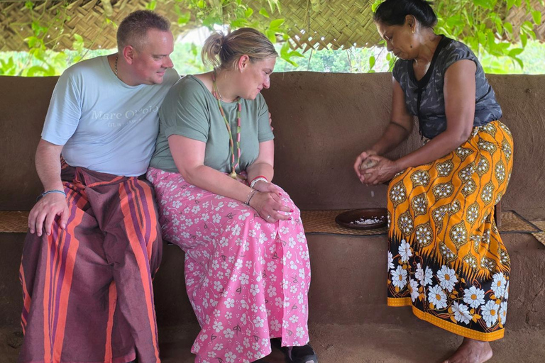 Sigiriya & Dambulla All Inclusive Day Trip Sigiriya & Dambulla All Inclusive Day Trip