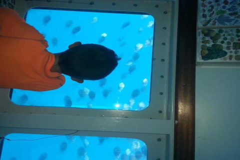 Punta Cana: Saona Island Day Trip with Lunch & Open Bar