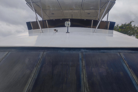 Mirissa: tour in barca con osservazione balene al tramonto e musica