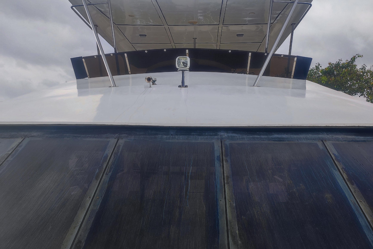 Mirissa: tour in barca con osservazione balene al tramonto e musica