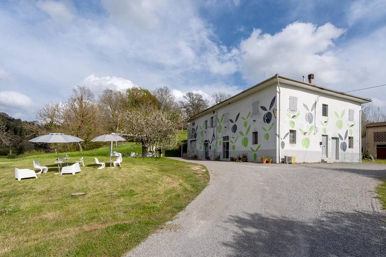 San Miniato: esperienza di degustazione di vino e olio extravergine di oliva biologiciSan Miniato: degustazione di vino e olio extravergine biologici