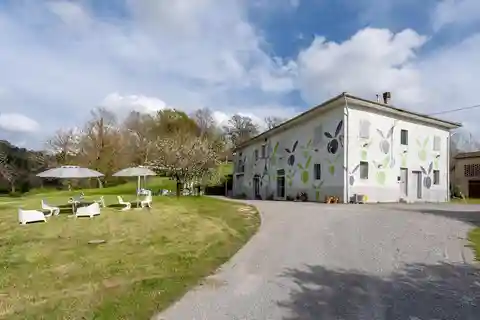 San Miniato: Organic Wine and Olive Oil Tasting Experience